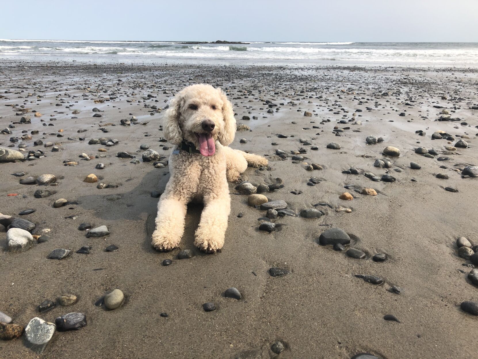 Reader Pics: Oct. 16